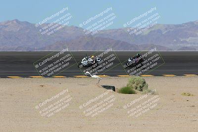 media/Nov-12-2023-SoCal Trackdays (Sun) [[5d1fba4e7d]]/Bowl (930am)/